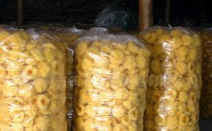 產地直銷，品質無憂 古田銀耳（白木耳）的農副產品魅力