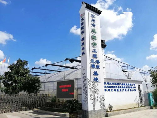 紓難解困，精準(zhǔn)服務(wù) 賦能農(nóng)副產(chǎn)品企業(yè)高質(zhì)量發(fā)展